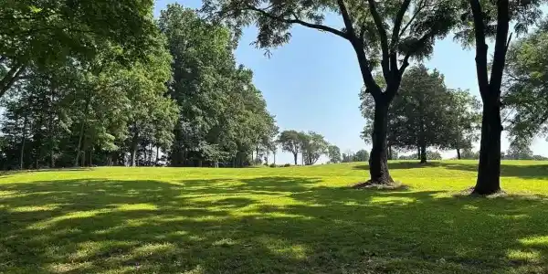 1 Cherry Loop