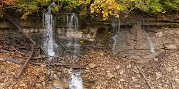 Image 2: image (2)