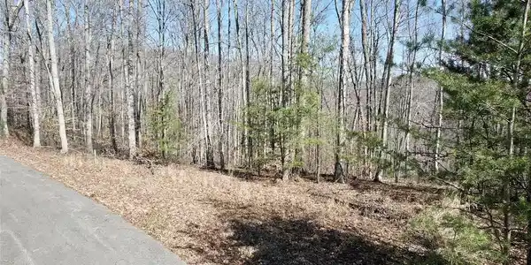 67 Sunrise Cove Trl