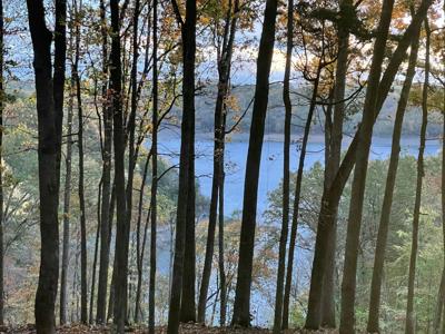 Tract 1 Hwy 196