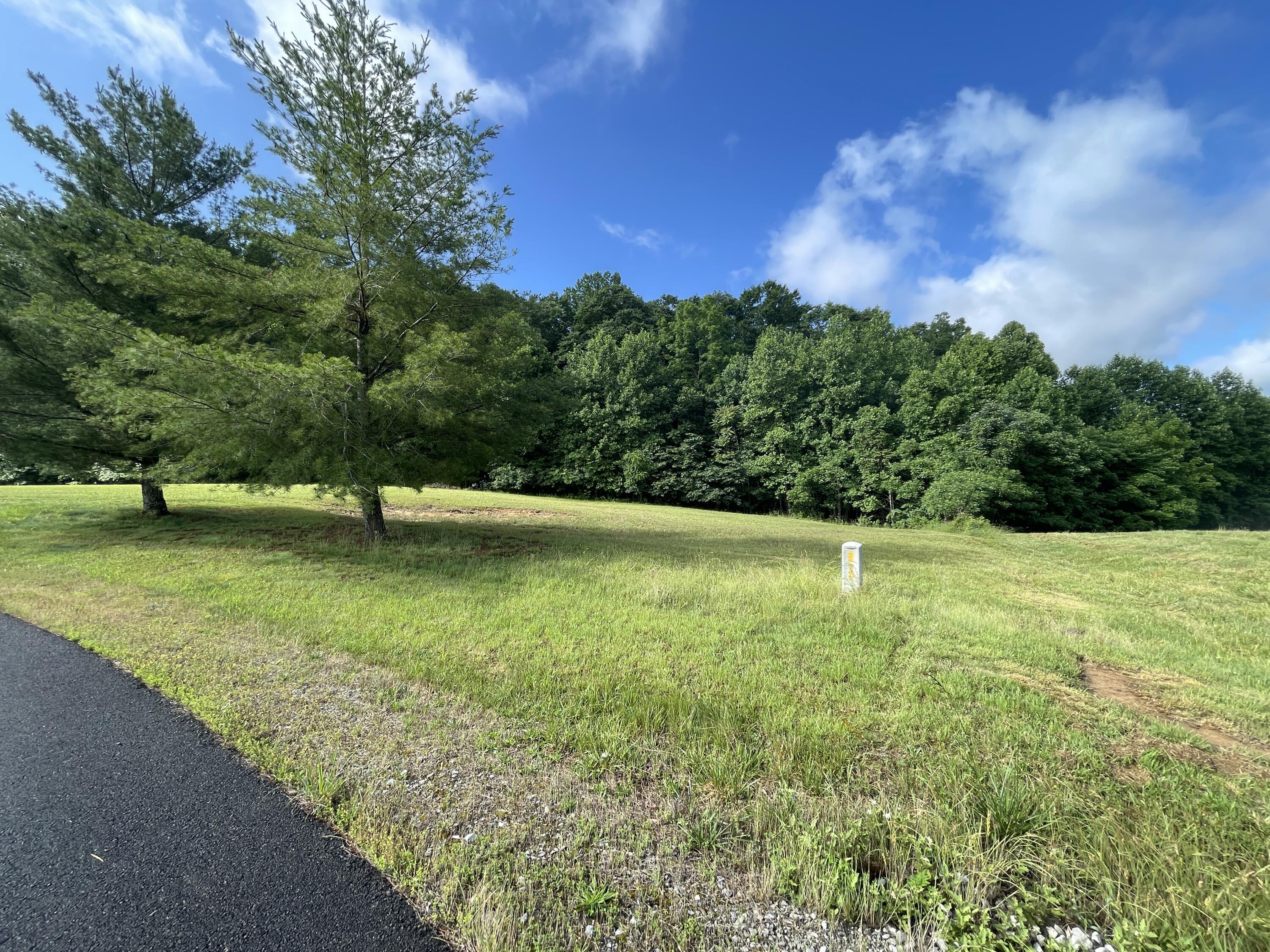 Image 3: IMG_0772