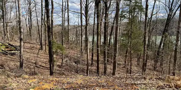 1740 Bridge Hollow Road