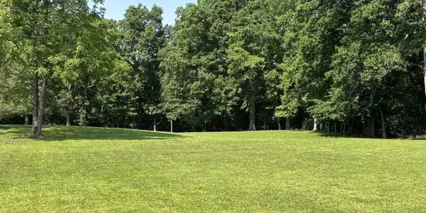 4 Cherry Loop