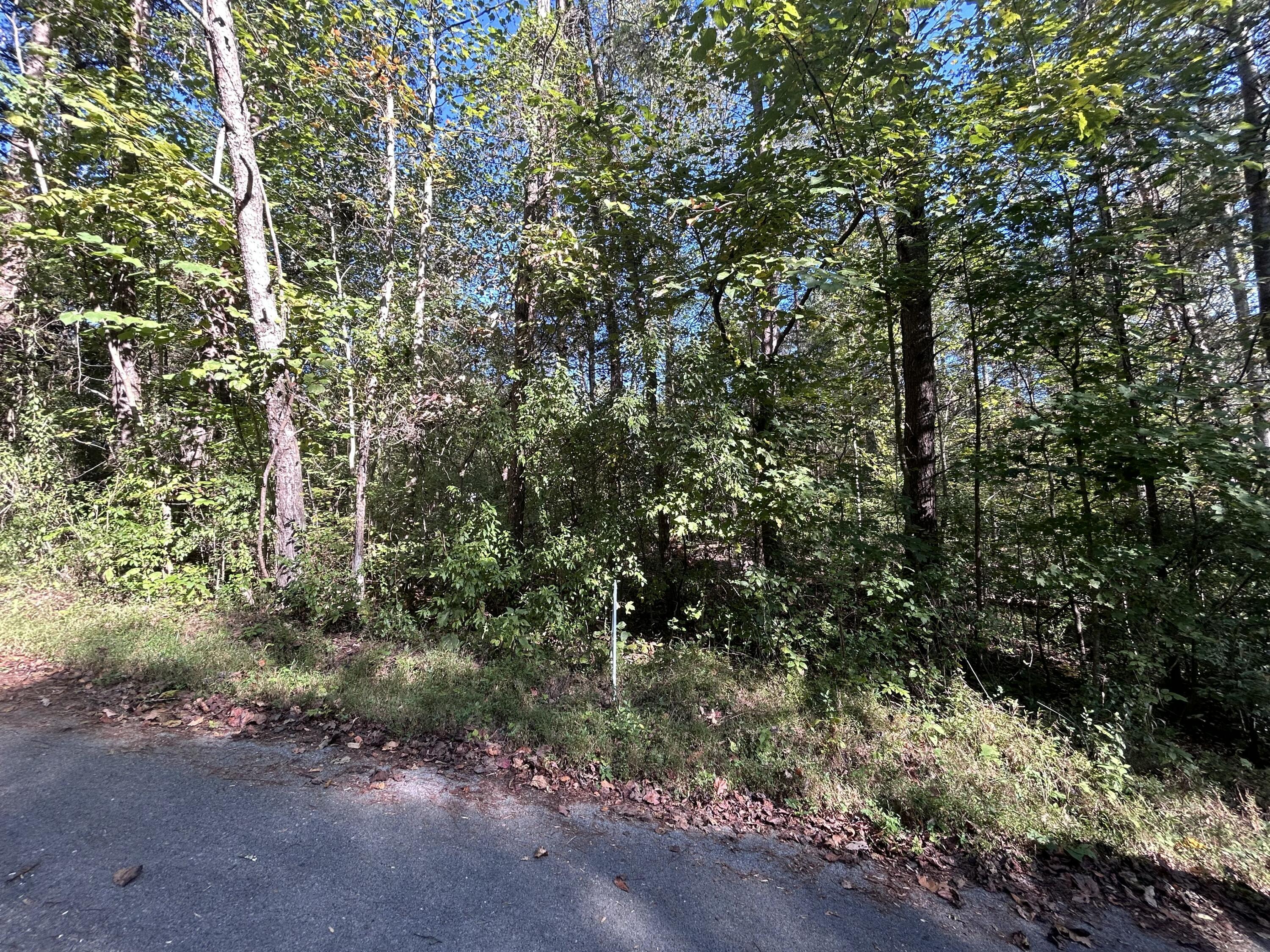 Image 1: 1