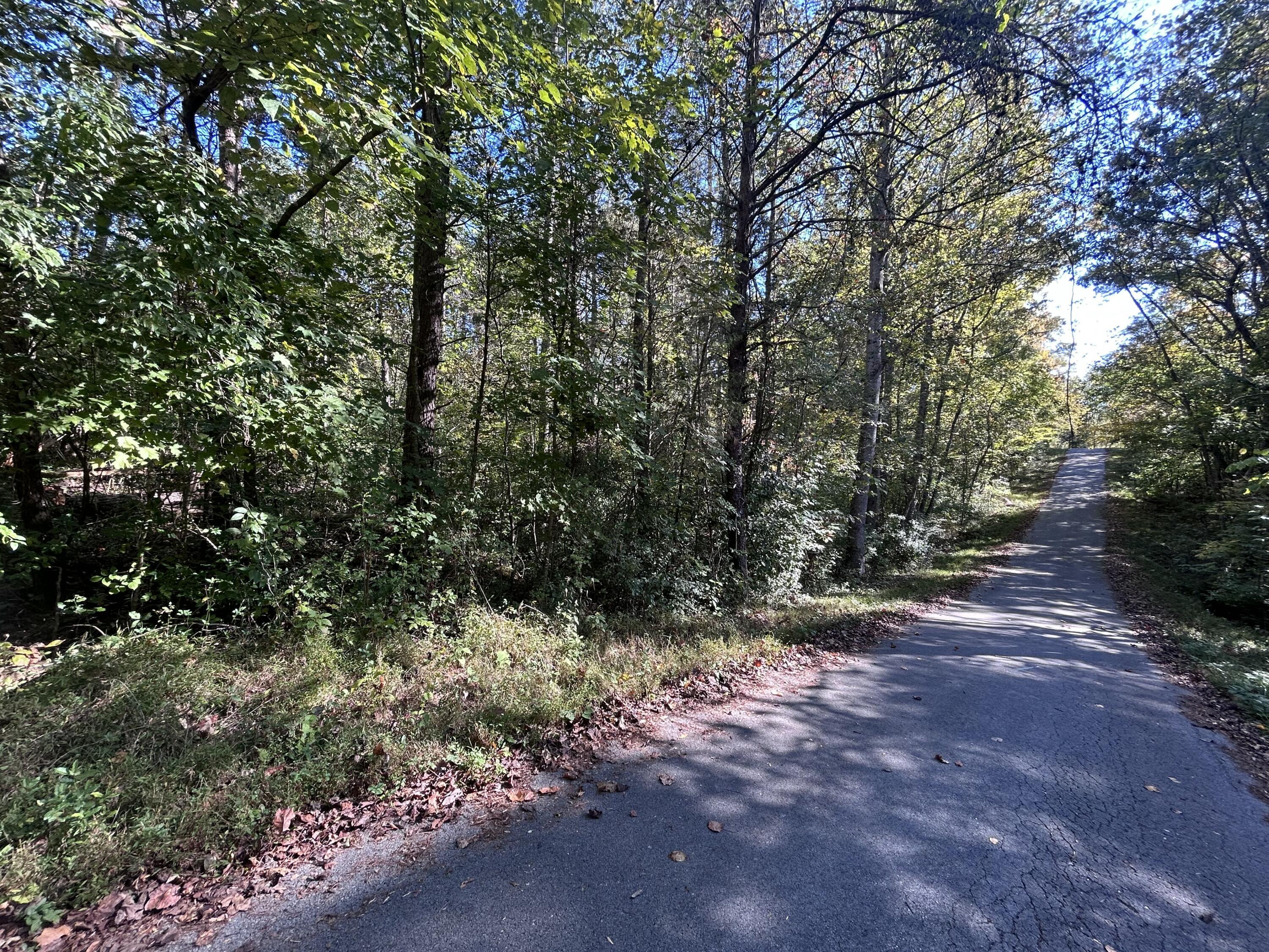 Image 3: 4