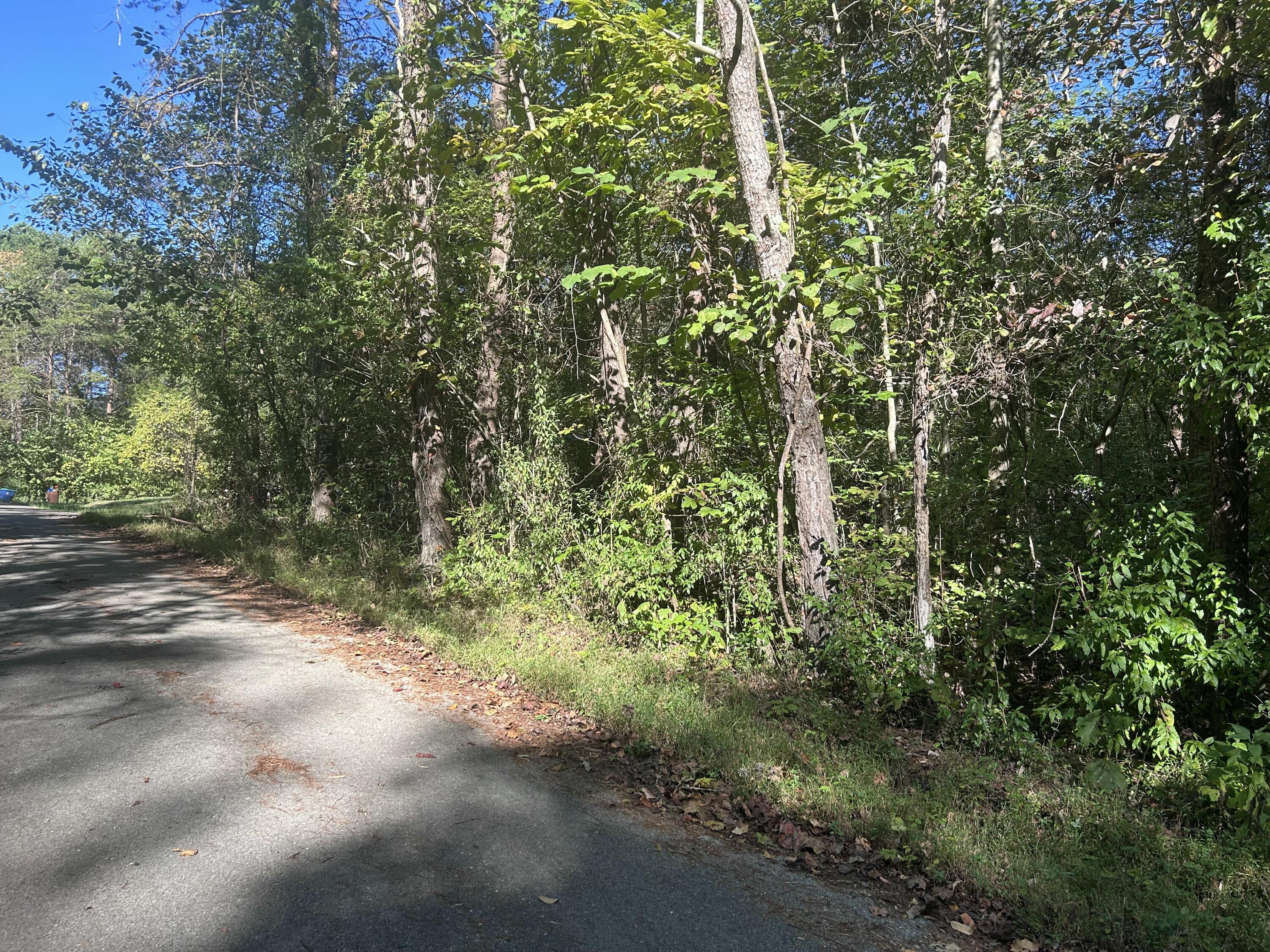 Image 4: 3