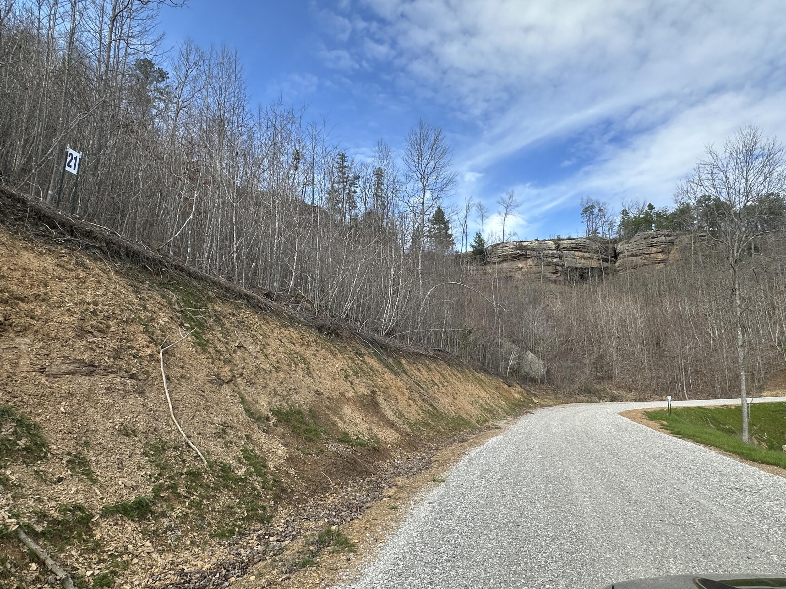 Image 3: LOT 21