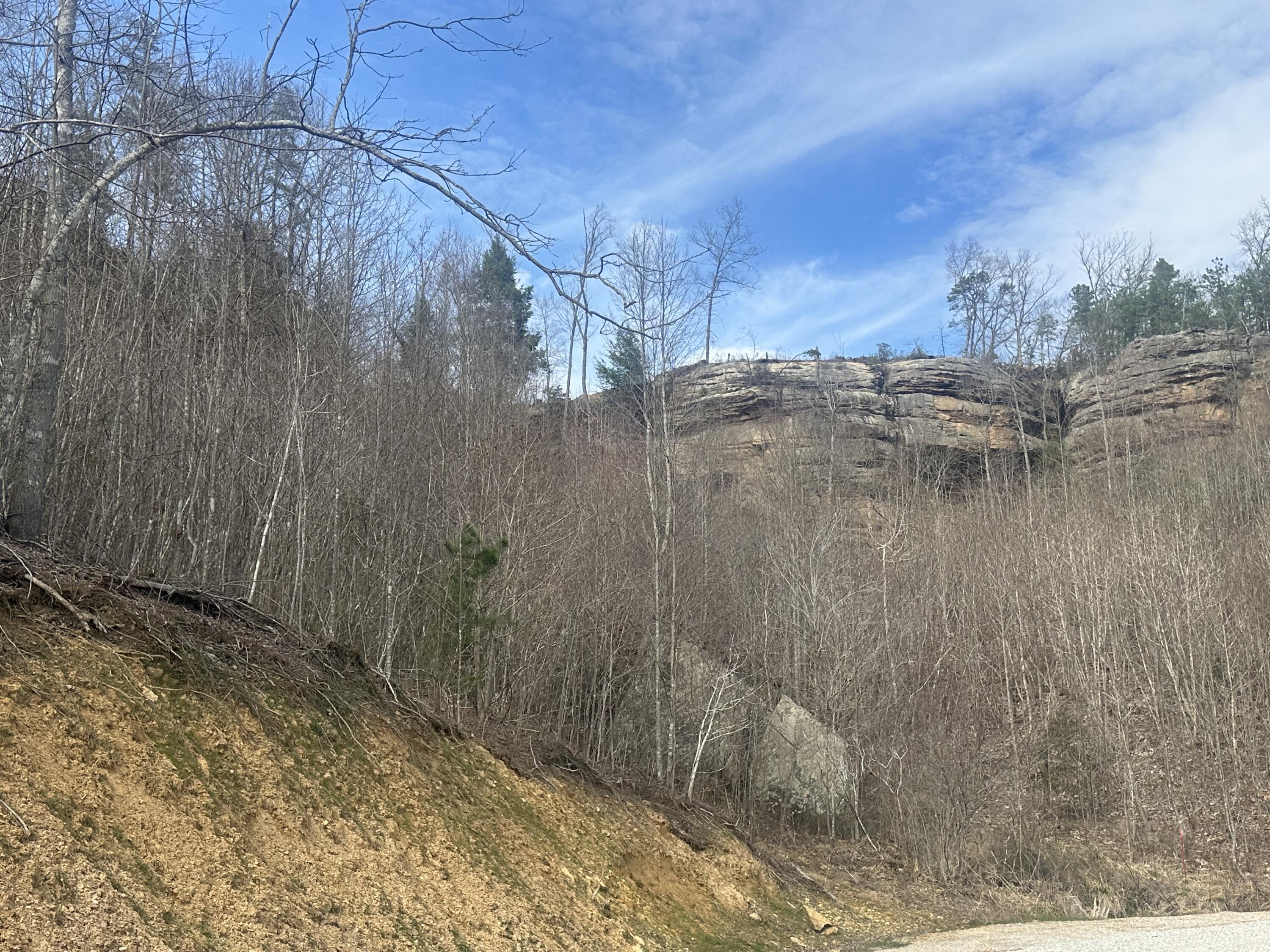 Image 4: SCENIC