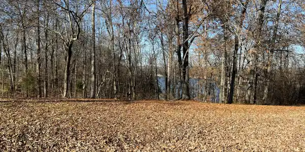 41 Black Walnut 52 Lane
