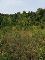 Lot 29 Brittany Drive