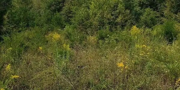 Lot 29 Brittany Drive