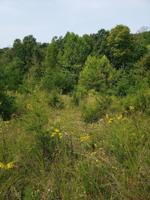 Lot 31 Brittany Drive