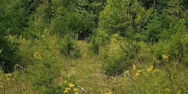 Lot 31 Brittany Drive
