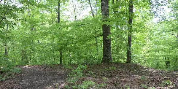 35 Island View