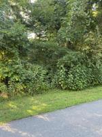 LT 908 Stonegate Dr. Drive