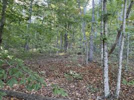 Tract 6 Cumberland Ridge Drive