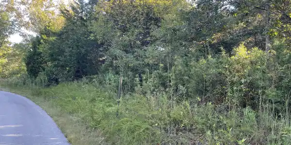 Tract 3 Cumberland Ridge Drive