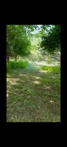 lot 11 lakeridge Drive