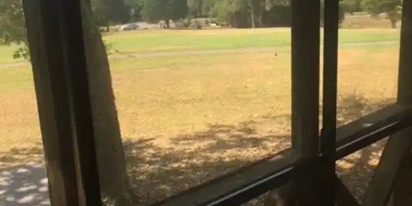 24 Woodson Bend Resort