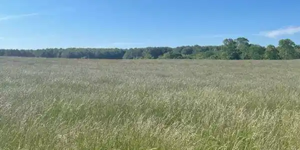 Lot 37 Edgewater