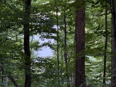 Lot#19 Stephens Drive