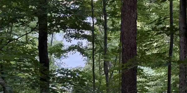 Lot#19 Stephens Drive