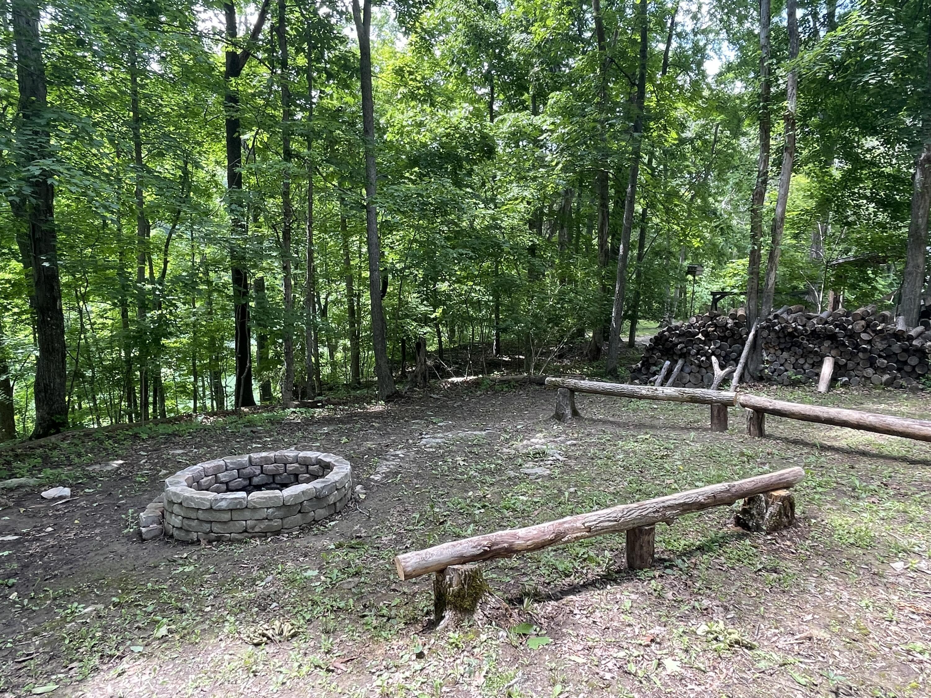 Image 4: IMG_7866