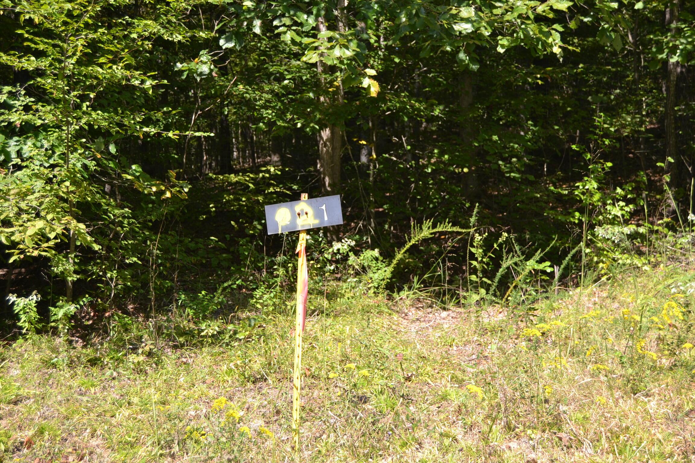 Image 1: DSC_0076