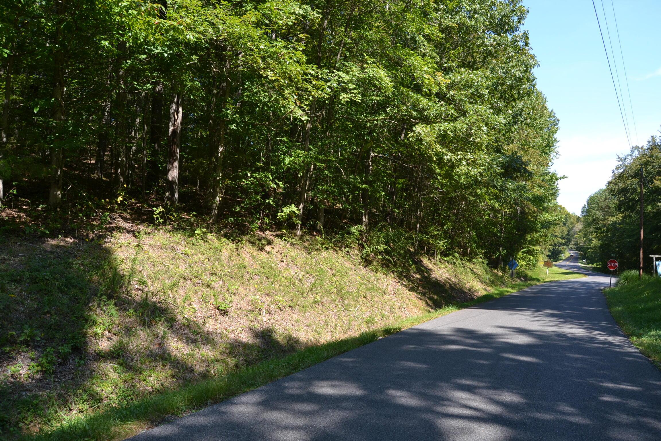 Image 3: DSC_0078