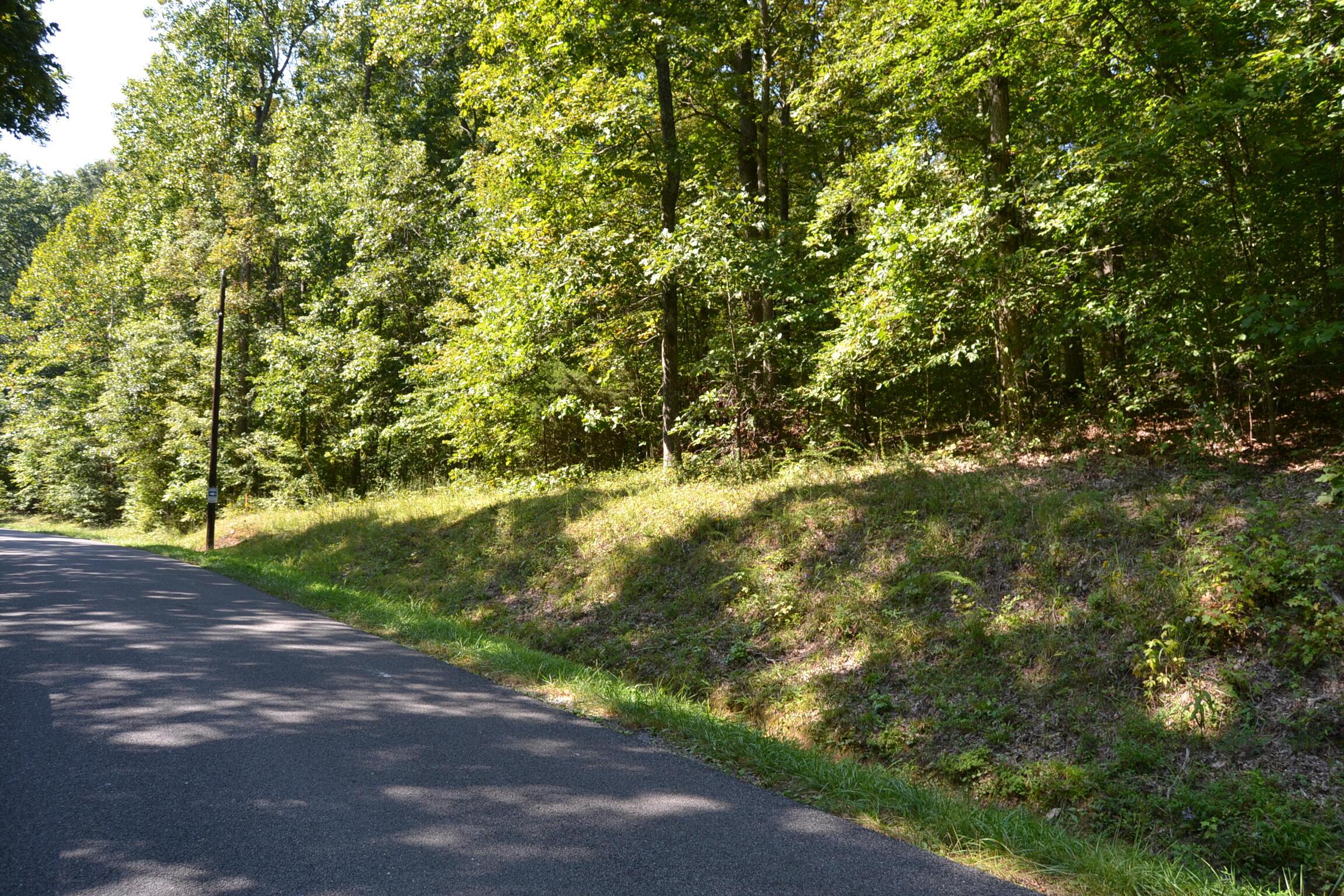 Image 4: DSC_0079