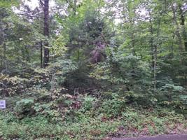 365 Burnside Hideaway Drive