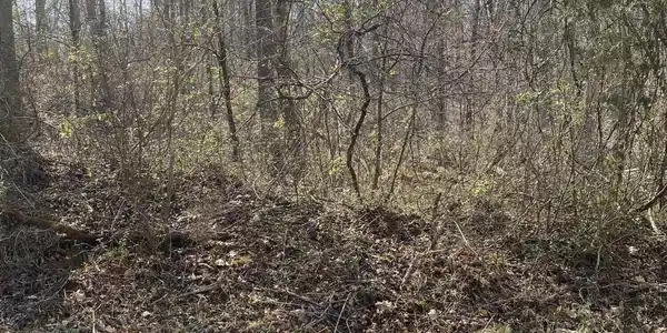 Lot 30 Lakeview Drive