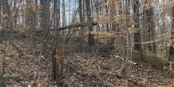 Lot 23 Lakeview Drive