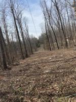 Lot 33,35 Garland Road
