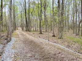 Lot 28 Arrowhead Lane