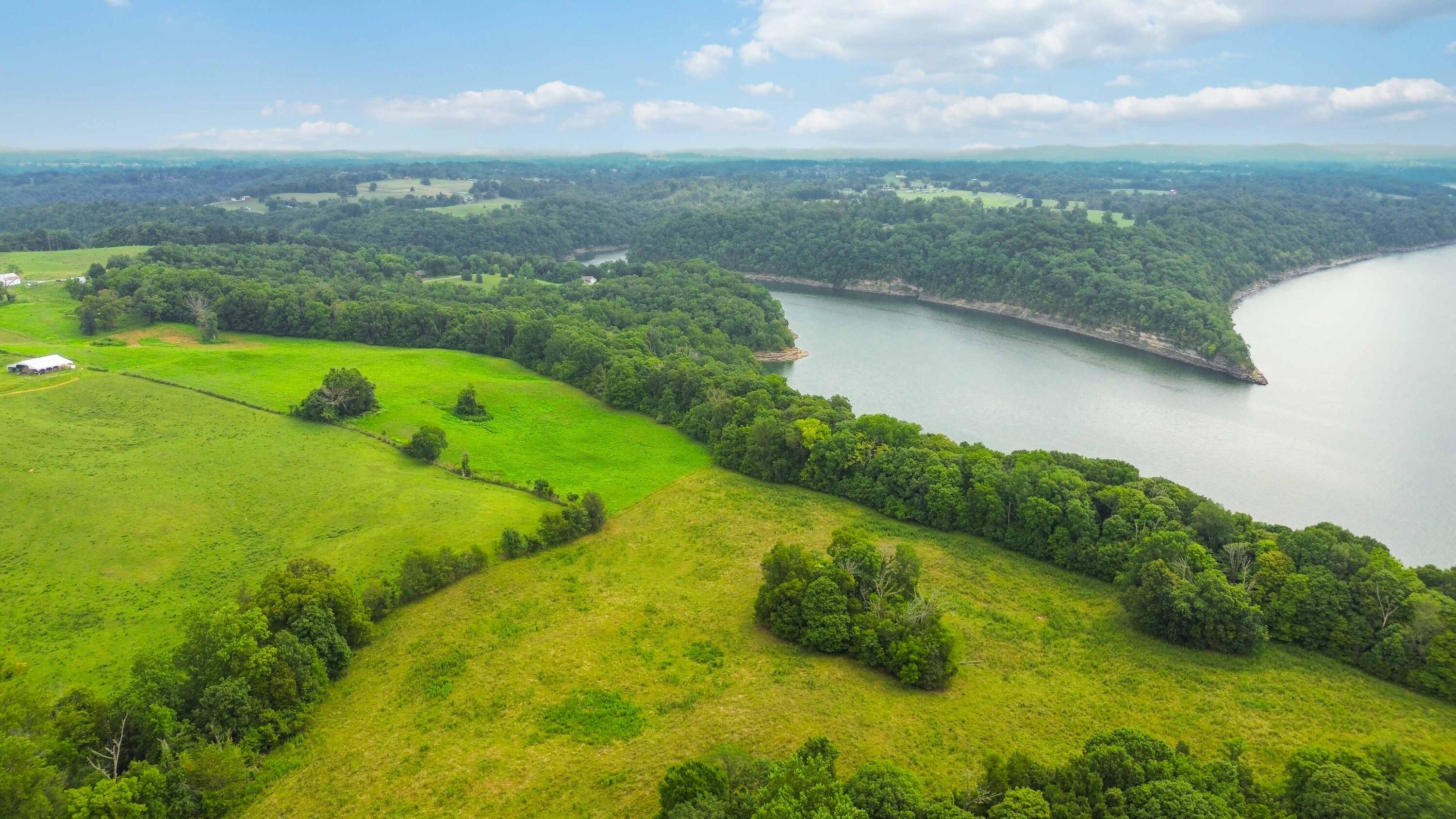 Image 4: 003