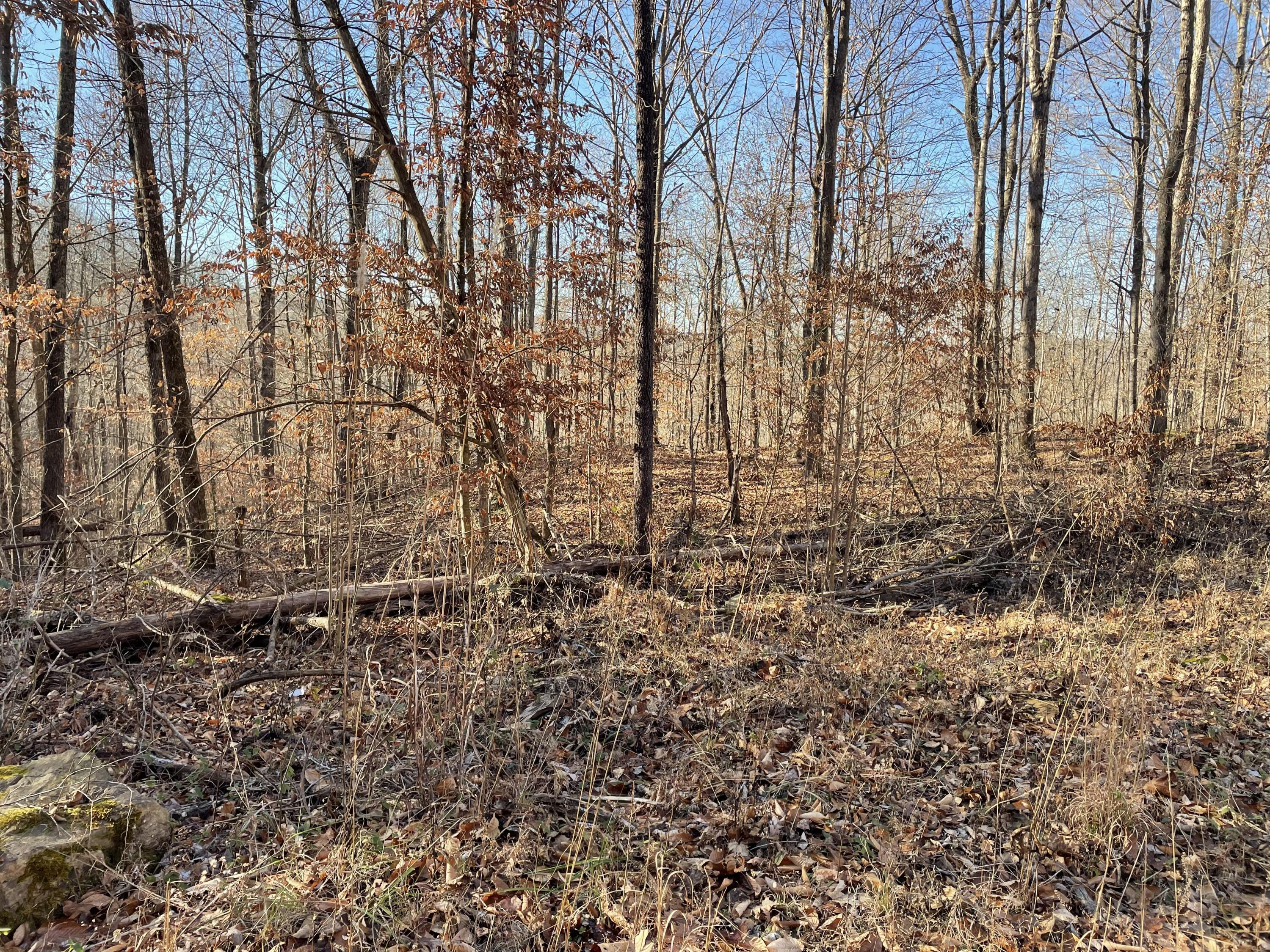 Image 3: IMG_6843