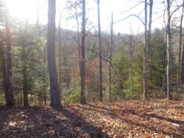 Lot 9 Fount Hubbard Road