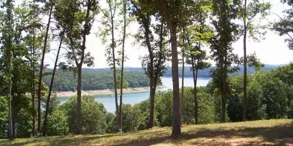 Lot 113 Cumberland Shores