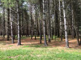 Lot 65 Lakeshore Drive