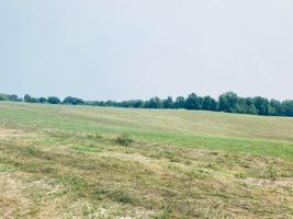 12 Spring Branch Hollow Rd