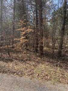 Lot 20 North Fork Road