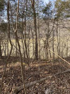 Lot 3 North Fork Road