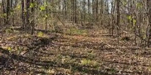 0001 Harmon Creek Road
