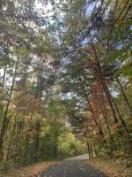 0 Spring Branch Road