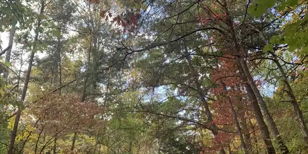 0 Spring Branch Road