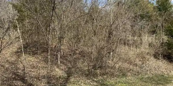 Lot 853 Antioch Church Rd. Drive