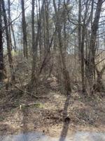 Lot 1057 Palisades Court