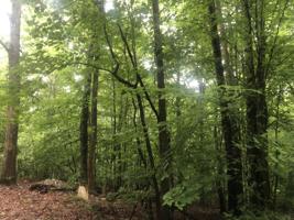 Lot 64/65 Elm Avenue