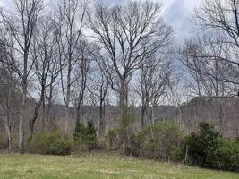 Lot 4 Hickory Point